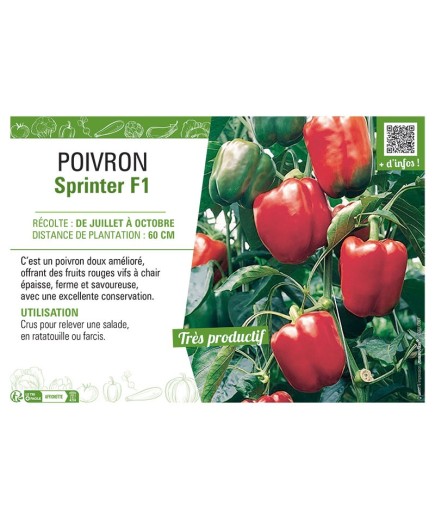 POIVRON Sprinter F1