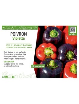 POIVRON Violetta