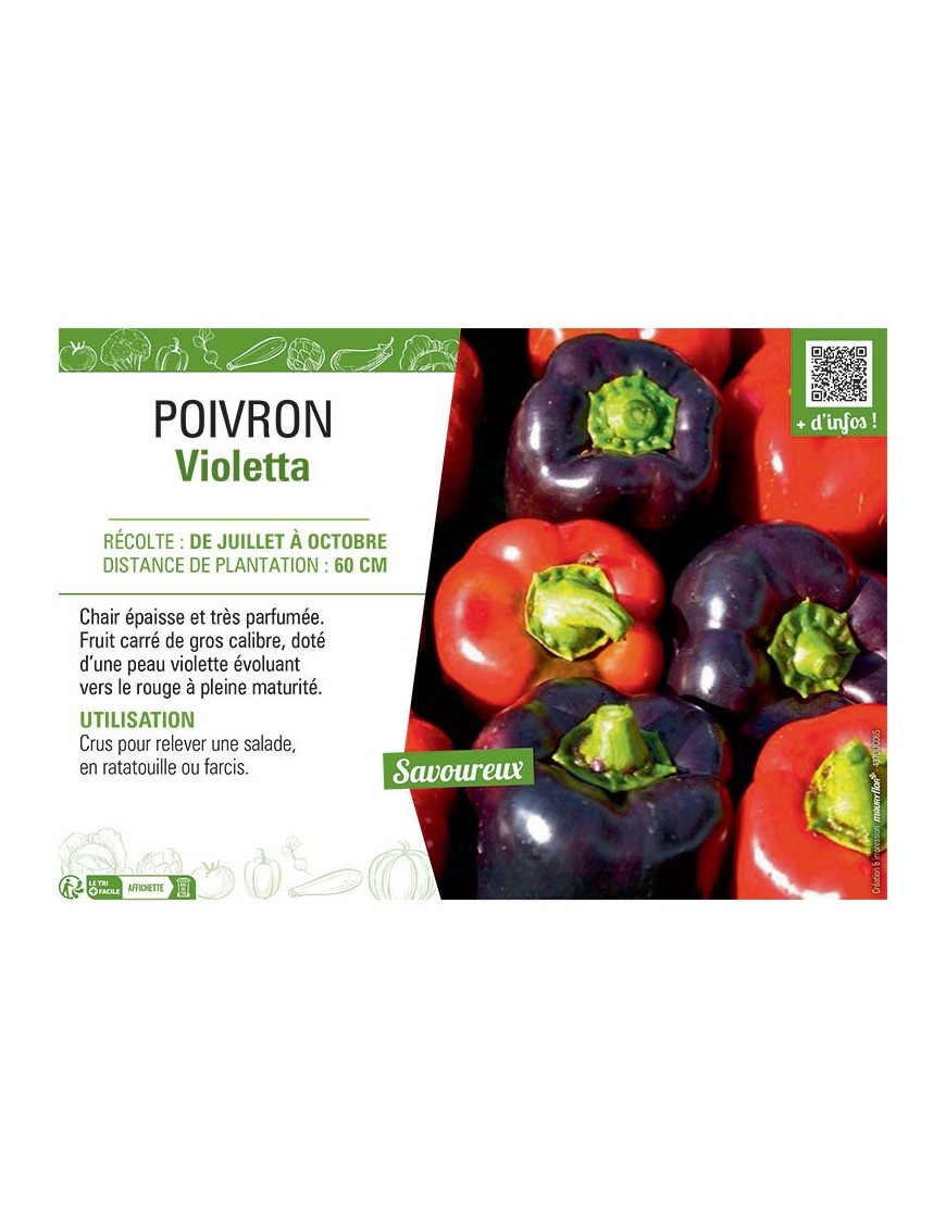 POIVRON Violetta