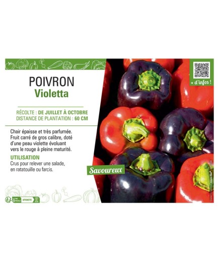 POIVRON Violetta