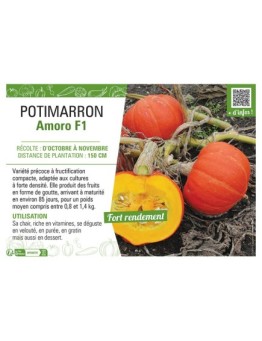 POTIMARRON Amoro F1