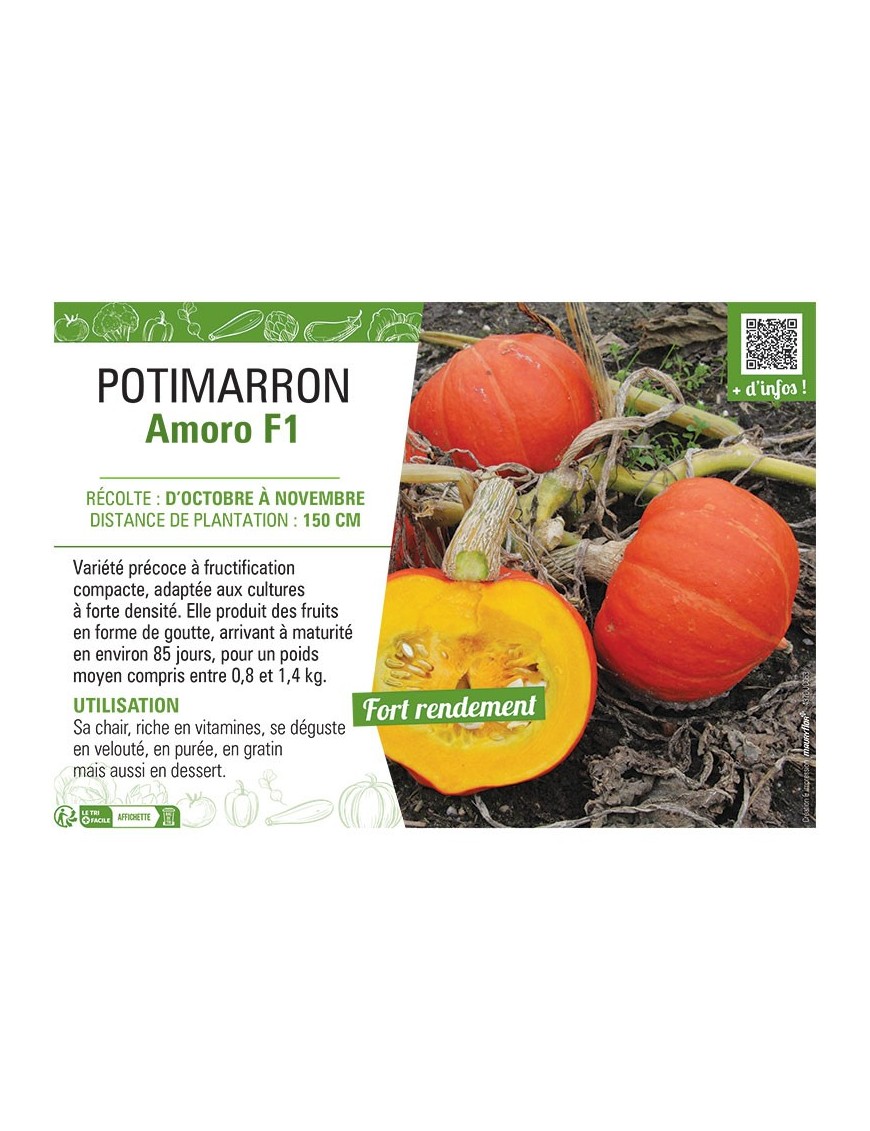 POTIMARRON Amoro F1