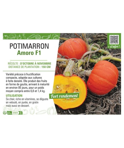 POTIMARRON Amoro F1
