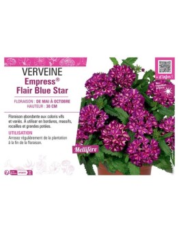 VERVEINE Empress® Flair Blue Star