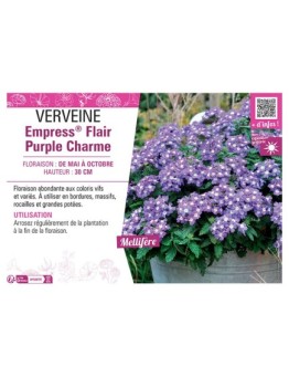 VERVEINE Empress® Flair Purple Charme