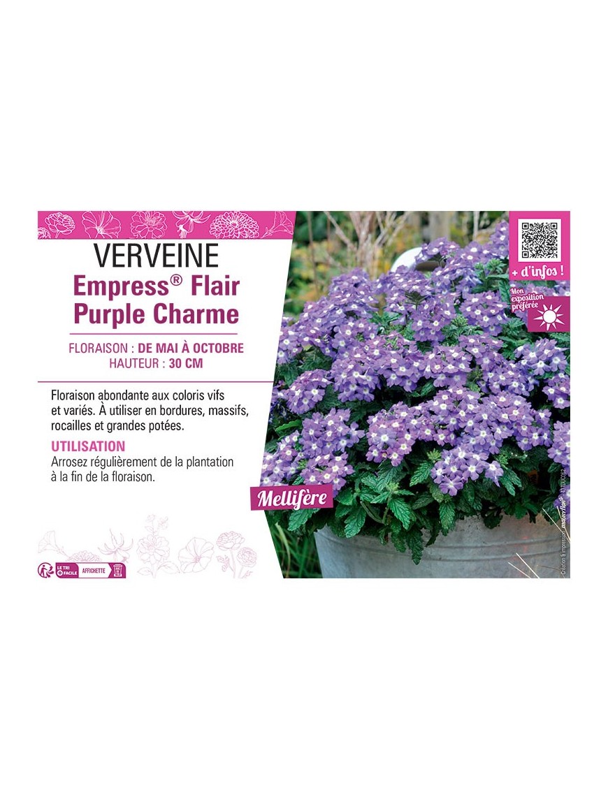 VERVEINE Empress® Flair Purple Charme