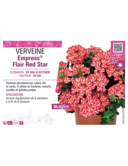 VERVEINE Empress® Flair Red Star
