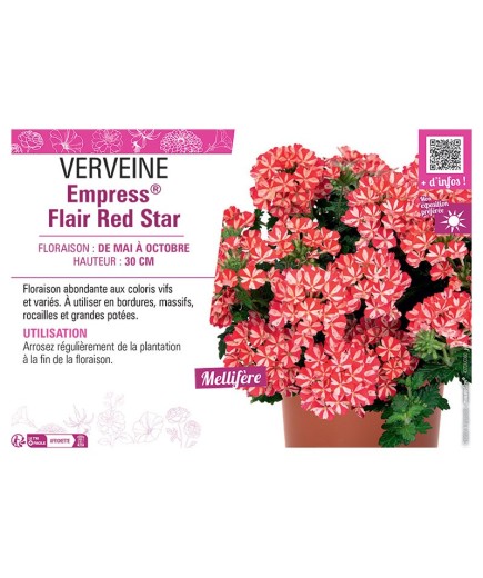 VERVEINE Empress® Flair Red Star