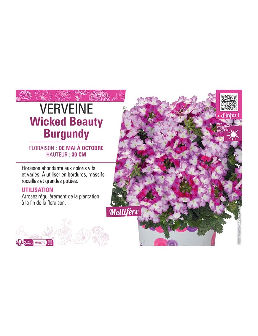 VERVEINE Wicked Beauty Burgundy