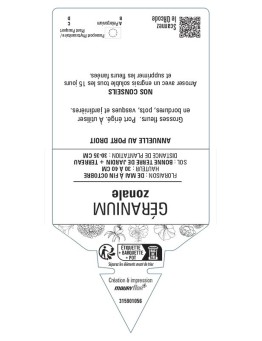 GÉRANIUM ZONALE (bicolore blanc et rouge)