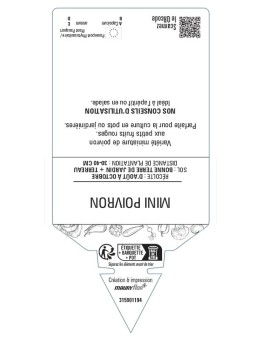 GÉRANIUM ZONALE (bicolore blanc et rouge)