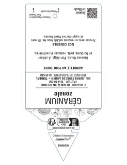 GÉRANIUM ZONALE (bicolore blanc et rouge)