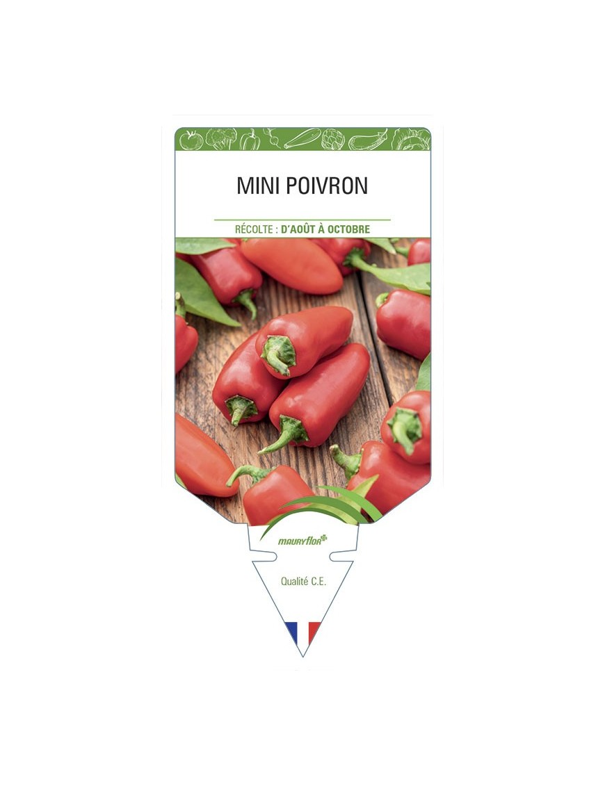 MINI POIVRON (rouge)