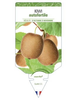 KIWI AUTOFERTILE