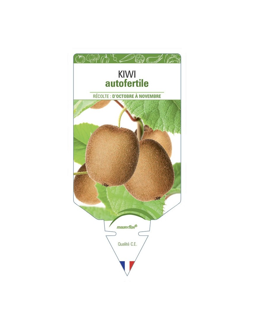KIWI AUTOFERTILE