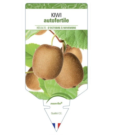 KIWI AUTOFERTILE