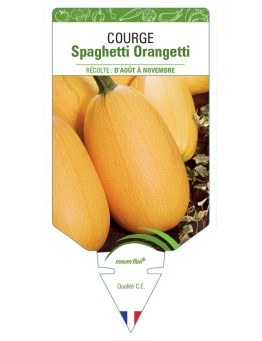 COURGE SPAGHETTI ORANGETTI