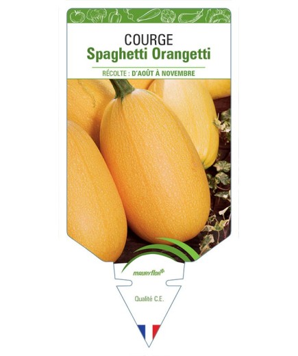 COURGE SPAGHETTI ORANGETTI