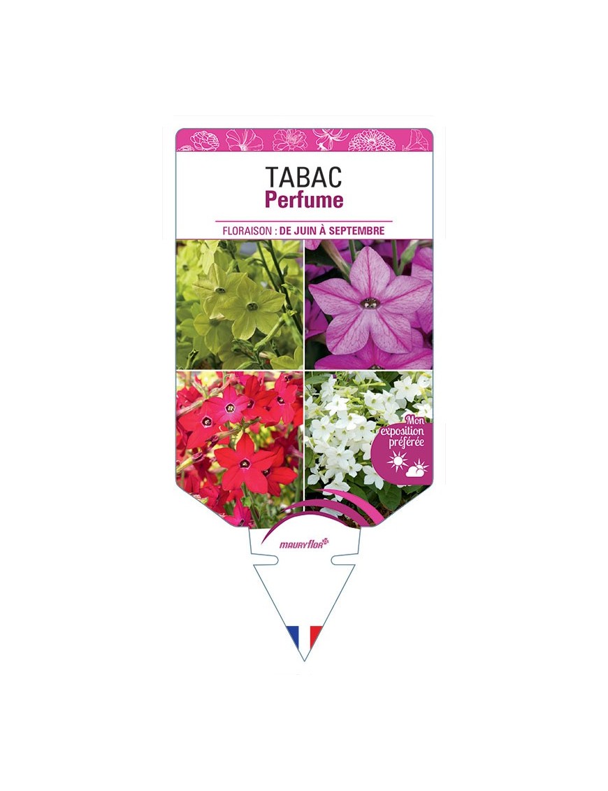 TABAC PERFUME