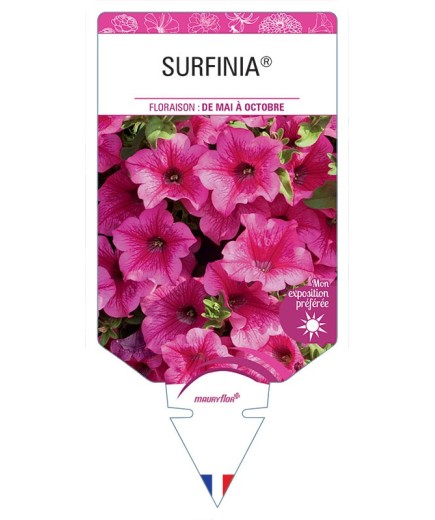 SURFINIA® ROSE