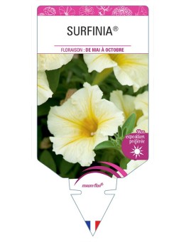 SURFINIA® JAUNE