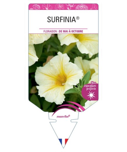 SURFINIA® JAUNE