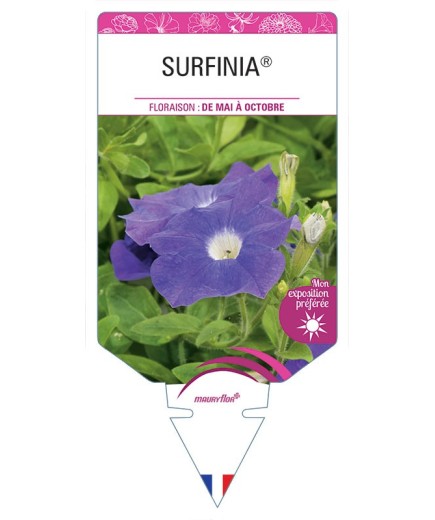 SURFINIA® BLEU