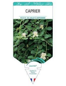 CAPRIER