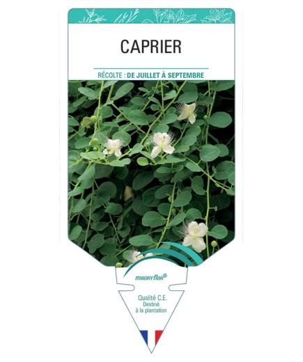 CAPRIER