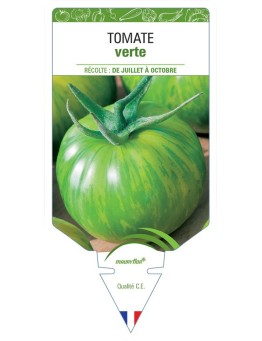 TOMATE VERTE