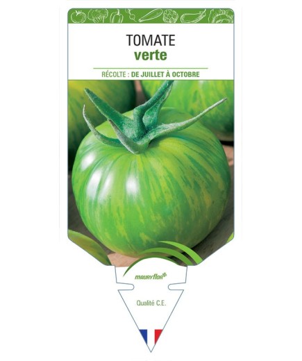 TOMATE VERTE