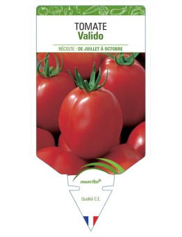 TOMATE VALIDO
