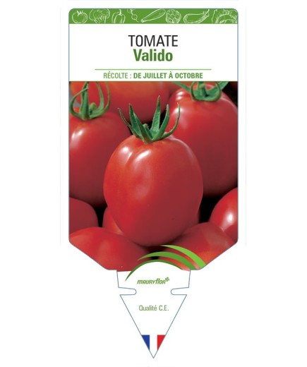 TOMATE VALIDO