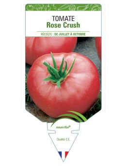 TOMATE ROSE CRUSH
