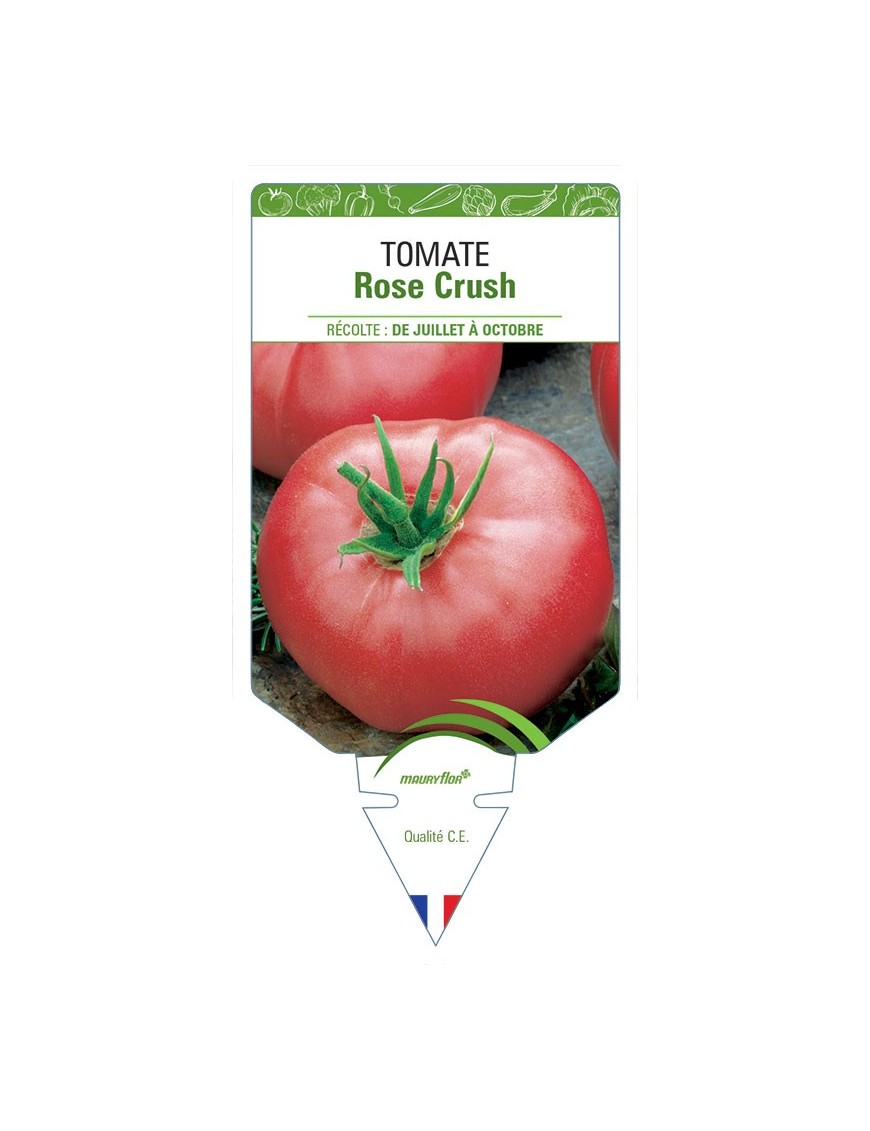 TOMATE ROSE CRUSH