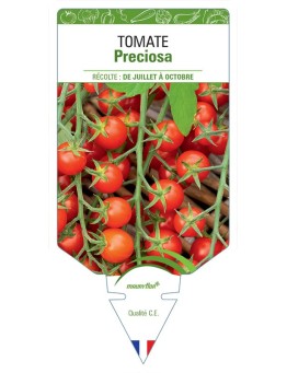 TOMATE PRECIOSA