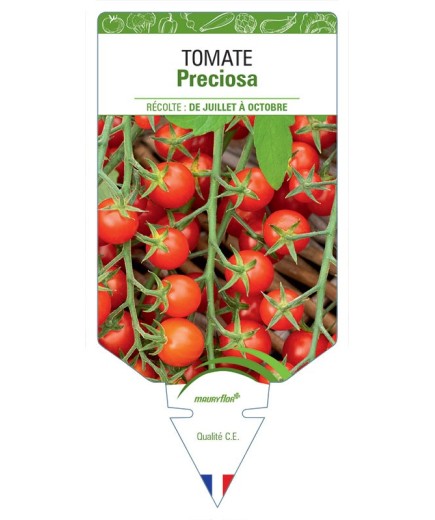 TOMATE PRECIOSA