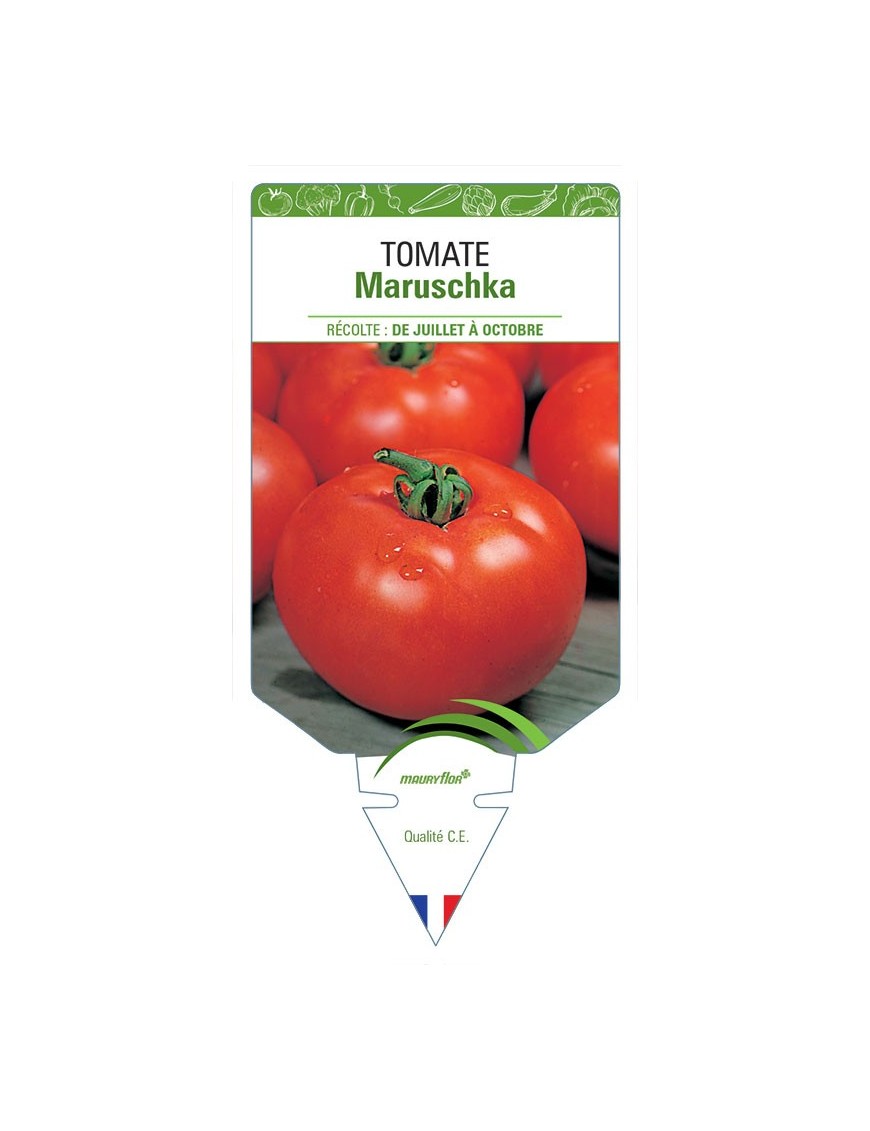 TOMATE MARUSCHKA