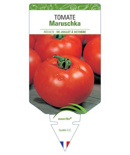 TOMATE MARUSCHKA