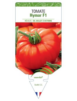 TOMATE HYMAR F1
