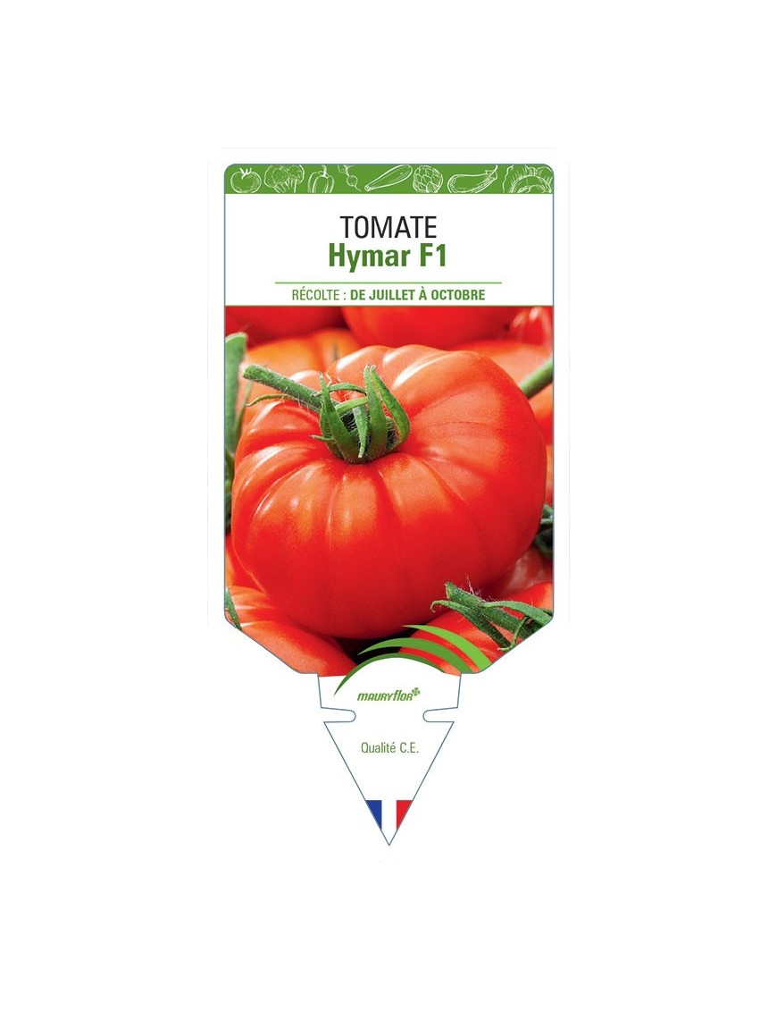 TOMATE HYMAR F1
