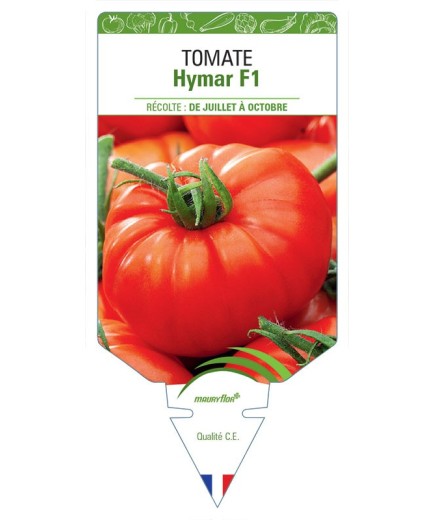 TOMATE HYMAR F1
