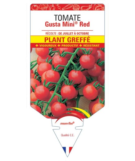 TOMATE GUSTA MINI® RED PLANT GREFFE