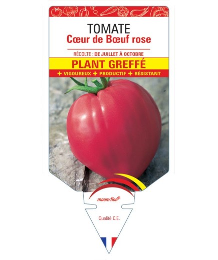 TOMATE CŒUR DE BŒUF ROSE PLANT GREFFE