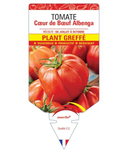 TOMATE CŒUR DE BŒUF ALBENGA PLANT GREFFE