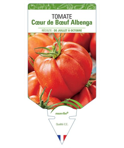 TOMATE CŒUR DE BŒUF ALBENGA