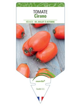 TOMATE CIRANO