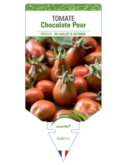 TOMATE CHOCOLATE PEAR