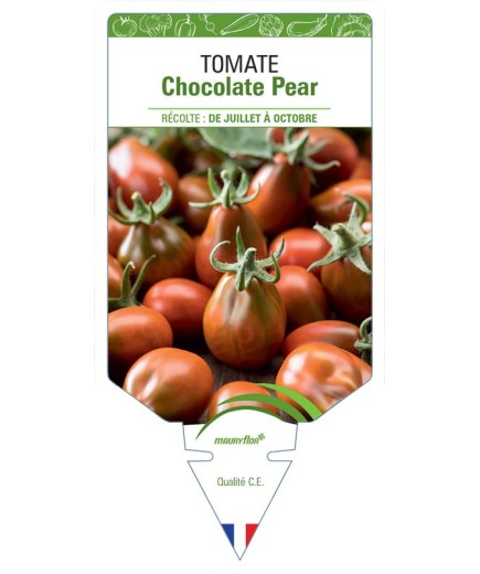 TOMATE CHOCOLATE PEAR