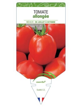 TOMATE ALLONGEE